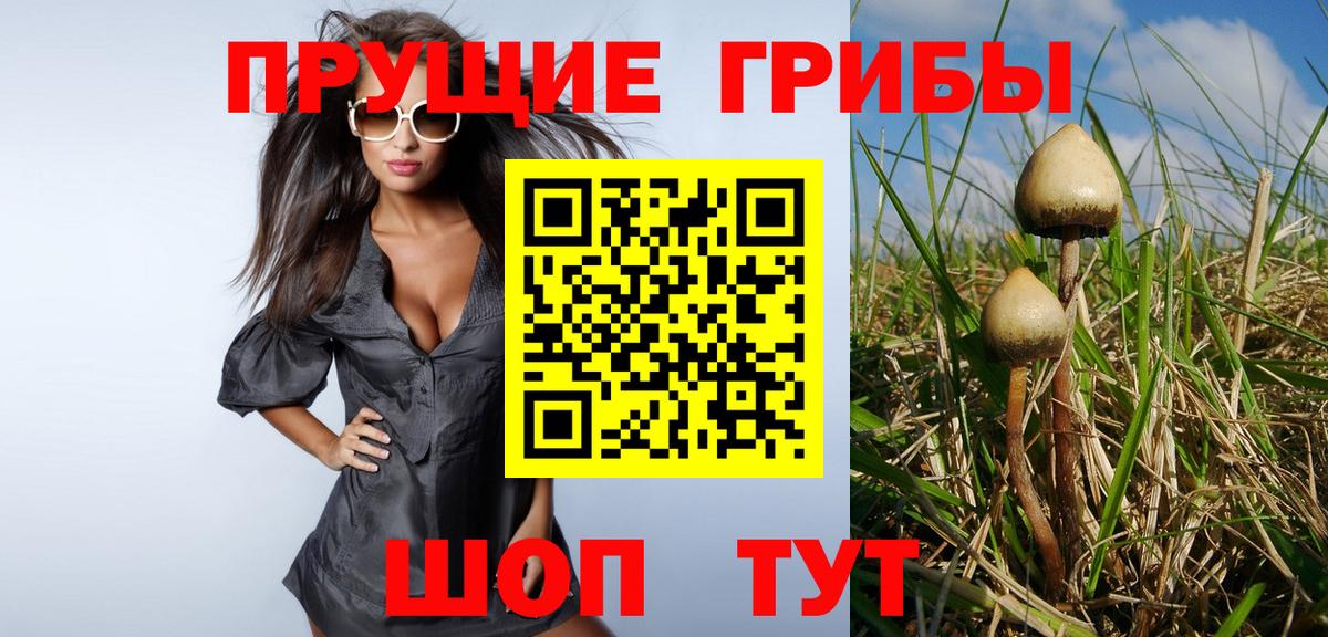 Галлюциногенные грибы прущие грибы Урус-Мартан