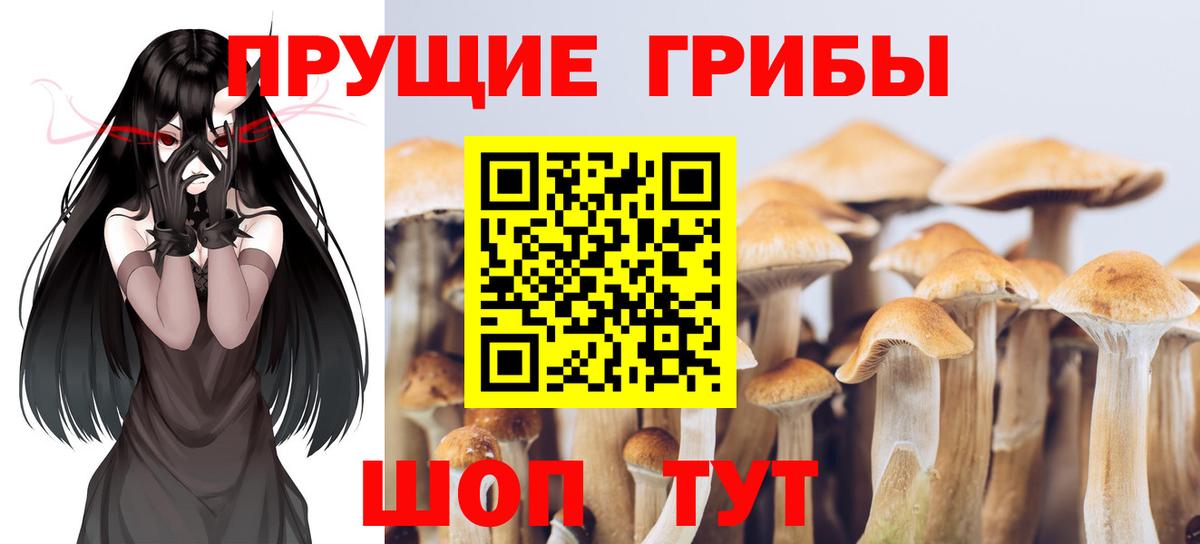 Псилоцибиновые грибы мицелий  Вход с VPN  Псилоцибиновые грибы MAGIC MUSHROOMS  Урус-Мартан 